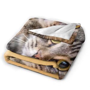 Gifts for Cat Lovers, Custom Cat Print Themed Blanket Personalized Photo Blanket for Pets, Cat Lovers Gift Ideas Soft Throw Blankets for Women Girls Christmas Birthday Gifts with Cute Cats 30x40 Inch