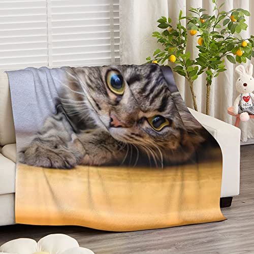 Gifts for Cat Lovers, Custom Cat Print Themed Blanket Personalized Photo Blanket for Pets, Cat Lovers Gift Ideas Soft Throw Blankets for Women Girls Christmas Birthday Gifts with Cute Cats 30x40 Inch