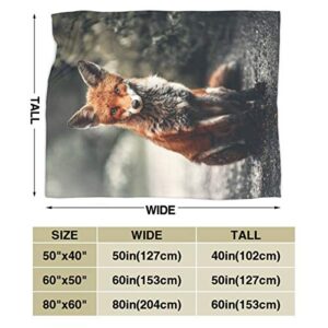 JASMODER Throw Blanket Fox Sitting On Ground Soft Microfiber Lightweight Cozy Warm Blankets for Couch Bedroom Living Room