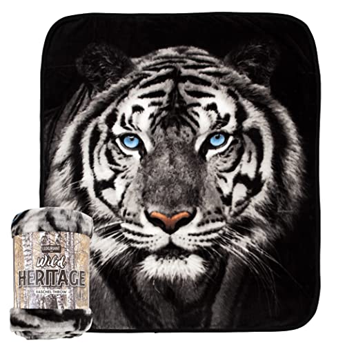 Northwest White Tiger Stare Raschel Throw Blanket, 50" x 60"