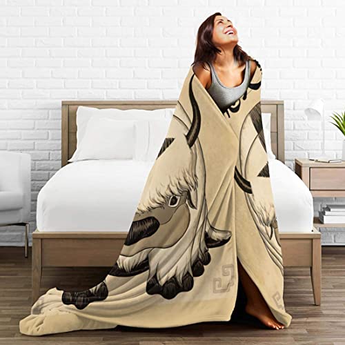 Fleece Blanket Throw Blanket - Lightweight Blanket for Sofa, Couch, Bed, Camping, Travel - Super Soft Cozy Microfiber Blanket