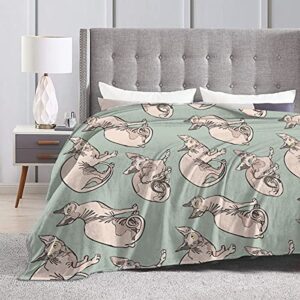 Hairless Naked Cats Sphynx Cats Mint Green Blanket,Fleece Throw Blanket Super Soft Warm Therma Plush Bed Couch Living Room