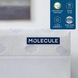 MOLECULE 3" Triple Zone PRO Pressure-Relieving Gel Memory Foam Mattress Topper, King