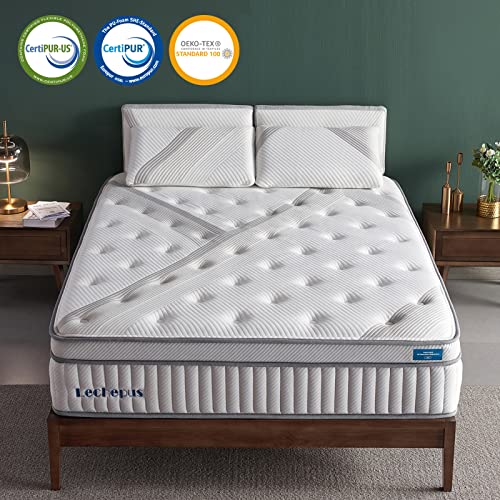 14 Inch King Size Mattress, Lechepus Memory Foam Hybrid Mattresses with Individual Pocket Spring, Plush Breathable Comfortable Mattress for Cool Sleep & Pressure Relief Certified