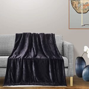 Thesis Sherpa Fleece Throw Blanket for Couch Black Throw Blanket – Fuzzy Cozy Warm Sherpa Blanket Throw, 50x60 Inches