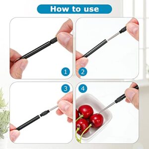 CHENGU 5 Pieces Portable Titanium Toothpicks Metal Pocket Toothpick with Protective Holder Stainless Steel Toothpick Reusable Toothpicks for Picnic Camping Traveling (Black)