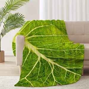 rickyoung lettuce flannel lightweight blankets quilt plush fleece soft bedding throw blanket for couch and bed 80"x60" for adult