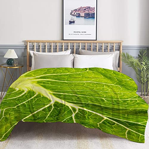 RICKYOUNG Lettuce Flannel Lightweight Blankets Quilt Plush Fleece Soft Bedding Throw Blanket for Couch and Bed 80"x60" for Adult