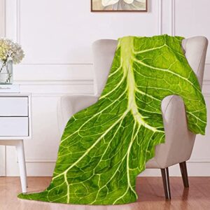 RICKYOUNG Lettuce Flannel Lightweight Blankets Quilt Plush Fleece Soft Bedding Throw Blanket for Couch and Bed 80"x60" for Adult
