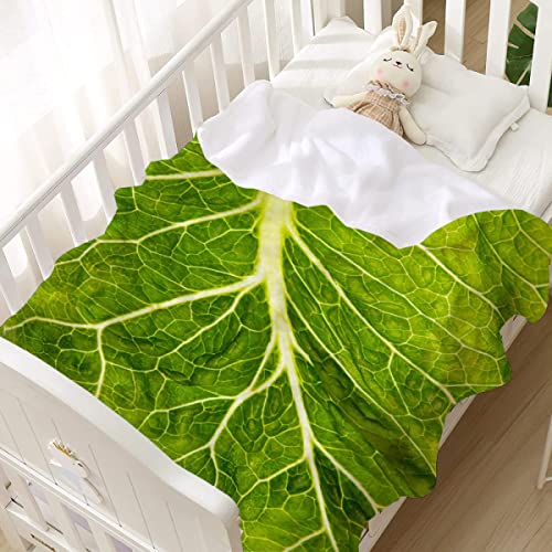 RICKYOUNG Lettuce Flannel Lightweight Blankets Quilt Plush Fleece Soft Bedding Throw Blanket for Couch and Bed 80"x60" for Adult