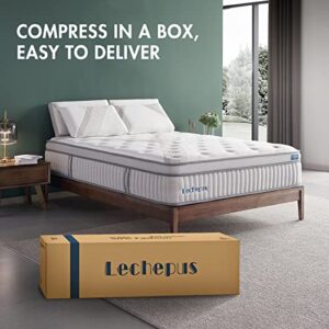 14 Inch Full Size Mattress, Lechepus Memory Foam Hybrid Mattresses with Individual Pocket Spring, Plush Breathable Comfortable Mattress for Cool Sleep & Pressure Relief Certified