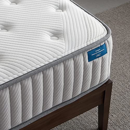 Twin Size Mattress, Lechepus 10 Inch Medium Firm Hybrid Mattress, Pocket Innerspring with Memory Foam for Motion Isolation, Breathable Tight Top Mattress in Box, CertiPur-US