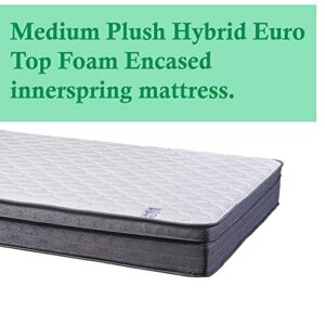 Treaton, 10-Inch Medium Plush Hybrid Euro Top Foam Encased innerspring Mattress/Improves Sleep by Reducing Back Pain, Queen