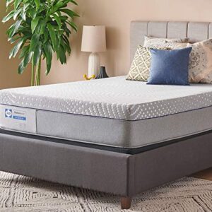 sealy posturepedic hybrid lacey soft feel mattress and 5-inch foundation, queen