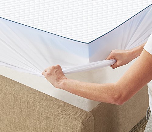 Serta 2" Lasting Dream Gel-Infused Memory Foam Mattress Topper, Twin