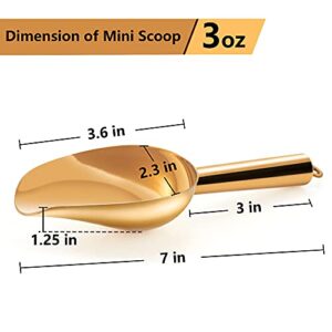 TeamFar Mini Scoop Set of 4, 3 Oz Small Canister Jar Scoops, Gold Candy Utility Scoops Stainless Steel for Scooping Coffee Bean/Sugar/Flour/Spice, Rust Free & Durable, Dishwasher Safe