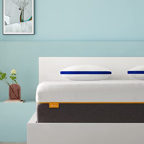 OYT Twin Size Mattress and Standard Size Pillow 2-Pack, 6" Gel Memory Foam Twin Bed Mattress in a Box and Cooling Shredded Memory Foam Pillows with CertiPUR-US Certified Foam for Sleep Supportive