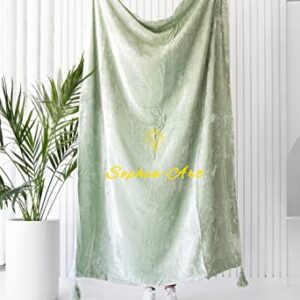 Sophia-Art Luxury Crushed Velvet Throw Blanket with Tassels Sofa Bed Soft Blankets Boho Warm Throws Cozy Plush Lightweight Pet (50x60 inches, Sage Green)