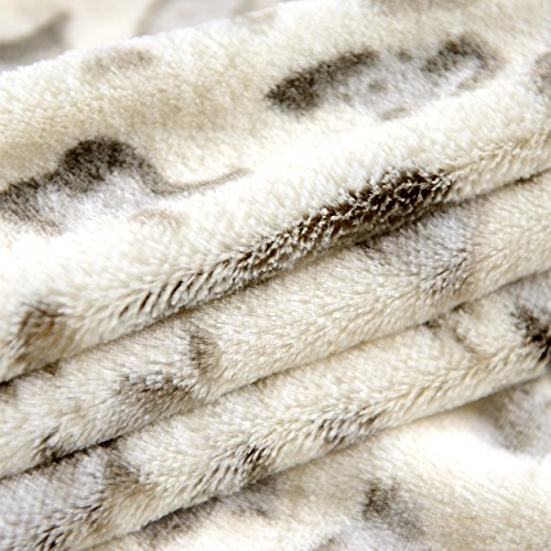 Cheer Collection Animal Print Throw Blanket | Soft Velvety Faux Fur Microplush Reversible Cozy Warm Throw Blanket - 50" x 60" - Snow Leopard