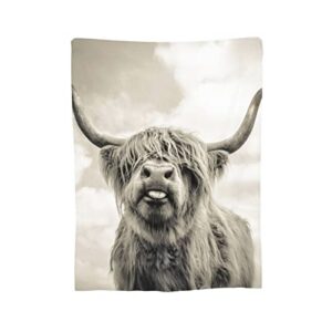 Highland Cow Blanket Cattle Cow Portrait Flannel Throw Blanket for Living Room Couch Bed Sofa Kids Adults All Seasons 60"x50"