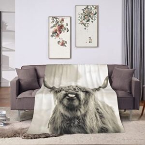 Highland Cow Blanket Cattle Cow Portrait Flannel Throw Blanket for Living Room Couch Bed Sofa Kids Adults All Seasons 60"x50"