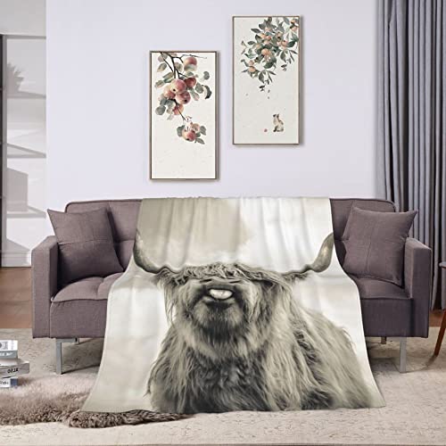 Highland Cow Blanket Cattle Cow Portrait Flannel Throw Blanket for Living Room Couch Bed Sofa Kids Adults All Seasons 60"x50"