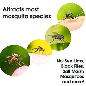 Mosquito Magnet OctenolSR Twin 3-pack Mosquito Trap Attractant - 6 Total Attactants