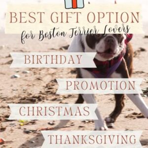 InnoBeta Boston Terrier Gifts for Women, Boston Terrier Blanket, Bed Flannel Fleece Plush Blankets (50"x 65") - Best Boston Terrier Ever