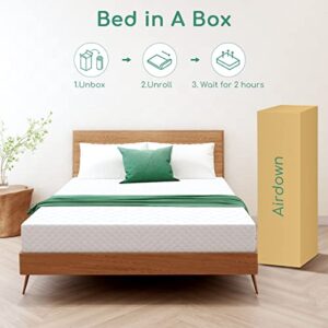 Airdown Twin Mattress, 8 Inch Memory Foam Mattress with Breathable Fabric Cover, Medium Feel Green Tea Gel Foam Bed Mattress for Kids, Twin Mattress in A Box, CertiPUR-US Certified