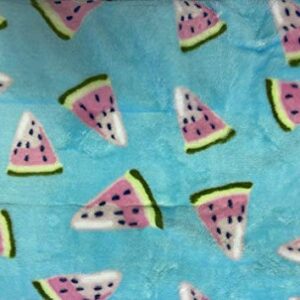 Summertime Whimsy Plush Watermelon Fleece Throw Blanket (50" x 60") - Watermelon Slices, for Men, Women and Kids