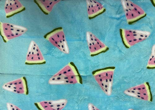 Summertime Whimsy Plush Watermelon Fleece Throw Blanket (50" x 60") - Watermelon Slices, for Men, Women and Kids