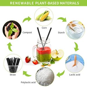 [100 Pcs] Biodegradable Compostable Individually Wrapped Straws - PLA Disposable Plant Based Black Straws (8.25" LongX0.23" Wide)