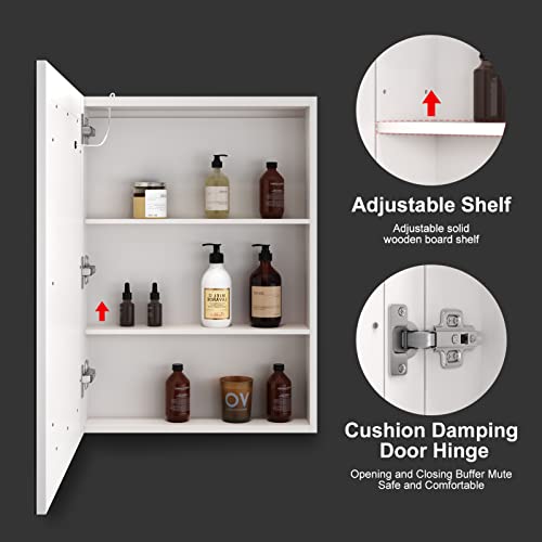 LALAHOO 20" x 28" Bathroom Medicine Cabinet with Mirror,Medicine Cabinets with Large Storage,Single Door LED Bathroom Wall Cabinet with Shelves,Dimmer and Anti-Fog