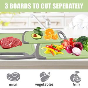 Cutting Boards for Kitchen, Plastic Chopping Board Set of 4 with Non-Slip Feet and Deep Drip Juice Groove, Easy Grip Handle, Dishwasher Safe, BPA Free, Non-porous(Green/Gray)