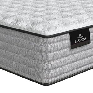 Kingsdown Passions Aspiration Firm Mattress, King