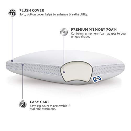 Sealy - Hybrid Bed in a Box - 10 Inch, Medium-Firm Feel, Queen Size, CopperChill Technology, CertiPur-US Certified & Essentials Memory Foam Pillow, Standard/Queen, White