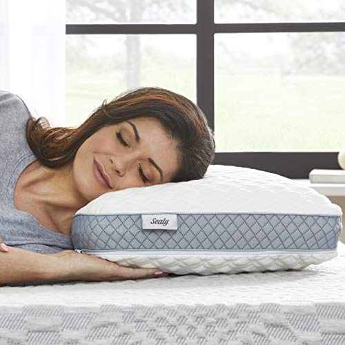 4'' SealyChill??? Gel + Comfort Memory Foam Mattress Topper King, White & Molded Memory Foam Pillow, 16 inches x 24 inches x 5. 75 inches, White, Grey