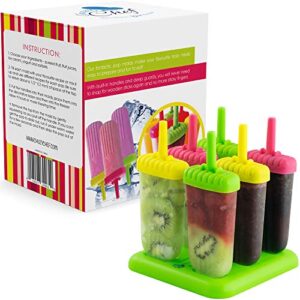 Popsicle Molds Set - 6 Pack Popsicle Mold Ice Popsicle Molds BPA Free Ice Popsicle Mold Ice Pop Mold Ice Popsicles Maker Fun for Kids and Adults (assorted)