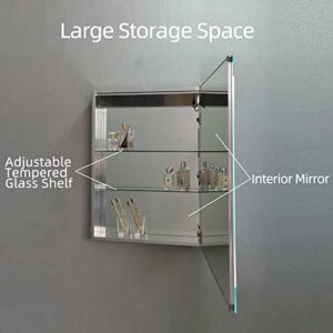 Vyaya Modern Home Decor Ontario 24" W x 32" H Rectangular Silver Aluminum Recessed or Surface Mount Mirror Medicine Cabinet