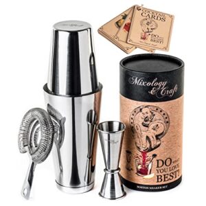 mixology cocktail shaker boston shaker set professional weighted martini shakers, strainer and japanese jigger, portable bar set for drink mixer bartending, exclusive recipes cards (silver)