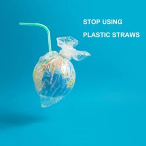 100 Count 100% Compostable PLA Jumbo Smoothie Straws-2/5" Wide X 8 1/4" Long KTOB Biodegradable Colorful Disposable Drinking Straws-Eco Friendly Plant-Based Plastic Milkshake Straws