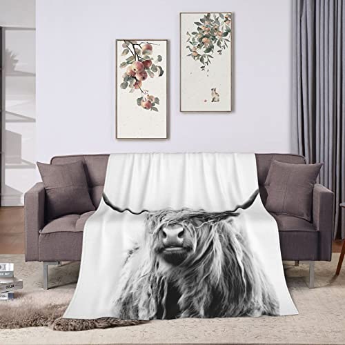 Ultra Soft Highland Cow Blanket, Portrait of Cattle Cow Throw Blanket, Warm Cozy Flannel Throw for All Seasons for Couch Bed Sofa 50"x40"