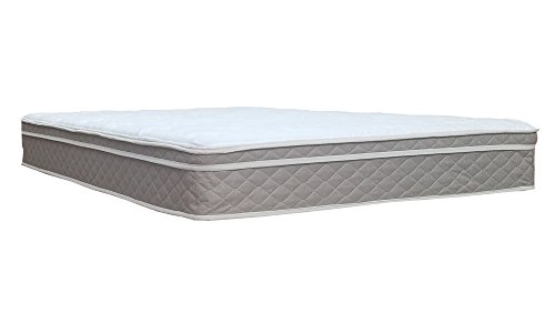 Spinal Solution 10-Inch Medium Plush Eurotop Pillowtop Innerspring Fully Assembled Mattress, Good for The Back, Twin, No