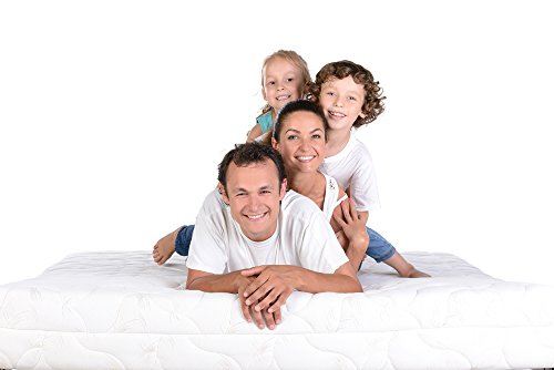 Queen Size 8 Inch Thick, 4 Pound Density Visco Elastic Memory Foam Mattress Bed with Gel Made in The USA