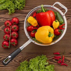 9" Large Fine Mesh Strainer with Sturdy Handle - Sieve Fine Mesh Stainless Steel - Ideal Quinoa Strainer