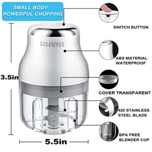 Electric Garlic Chopper, 250ML Mini Portable Veggie Chopper, Garlic Grinder Masher Onion Chopper, Blender to Vegetable, Wireless Food Processor for Ginger, Chili, Fruit, Meat, etc