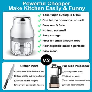 Electric Garlic Chopper, 250ML Mini Portable Veggie Chopper, Garlic Grinder Masher Onion Chopper, Blender to Vegetable, Wireless Food Processor for Ginger, Chili, Fruit, Meat, etc