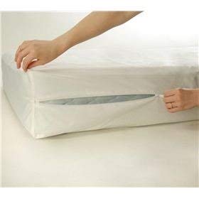 Coil Comfort Two-Sided Pillow Top Queen Mattress Only with Mattress Cover Protector Included - Fully Assembled, Orthopedic, Good for Your Back, Longlasting Comfort by Dream Solutions USA