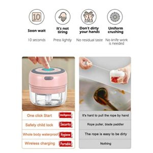 Electric Mini Garlic Chopper, 100ML USB Mini Food Chopper Garlic Mincer, Vegetable Chopper, Onion Chopper, Portable Small Food Processor for Garlic, Ginger, Chili, Vegetables