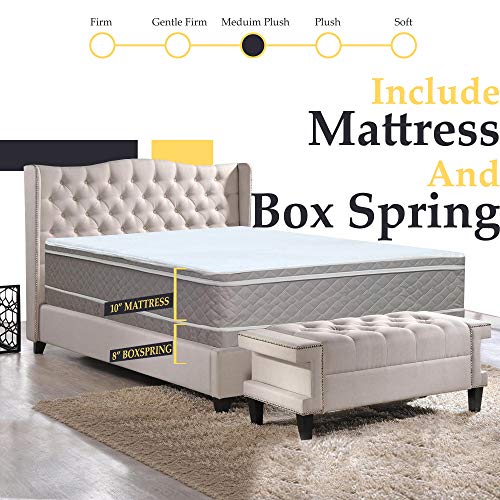 Greaton 11-Inch Medium Plush Foam Encased Hybrid Eurotop Pillowtop Innerspring Mattress and 8" Wood Box Spring/Foundation Set, 75" X 48"